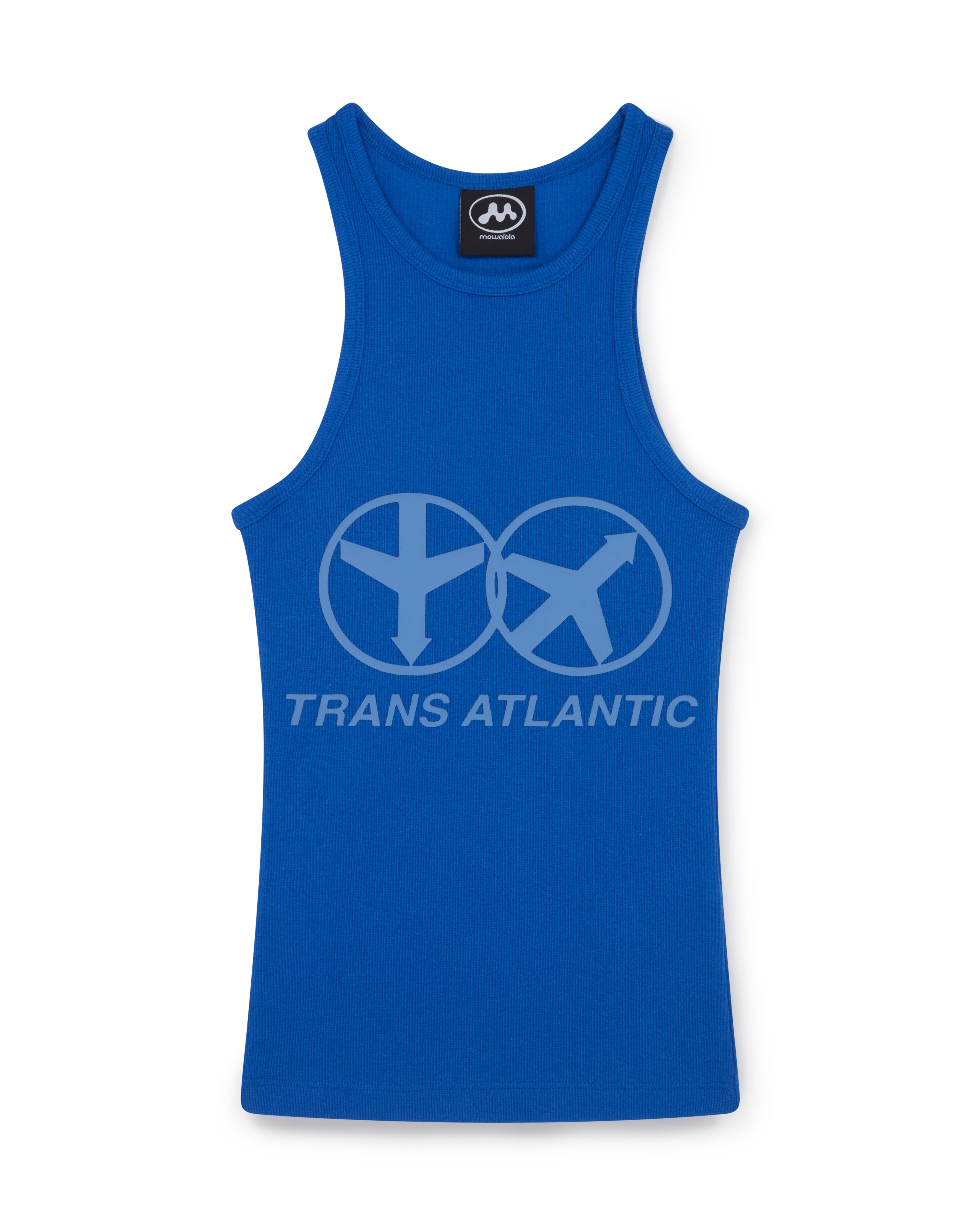 Char transatlantique  Image 1