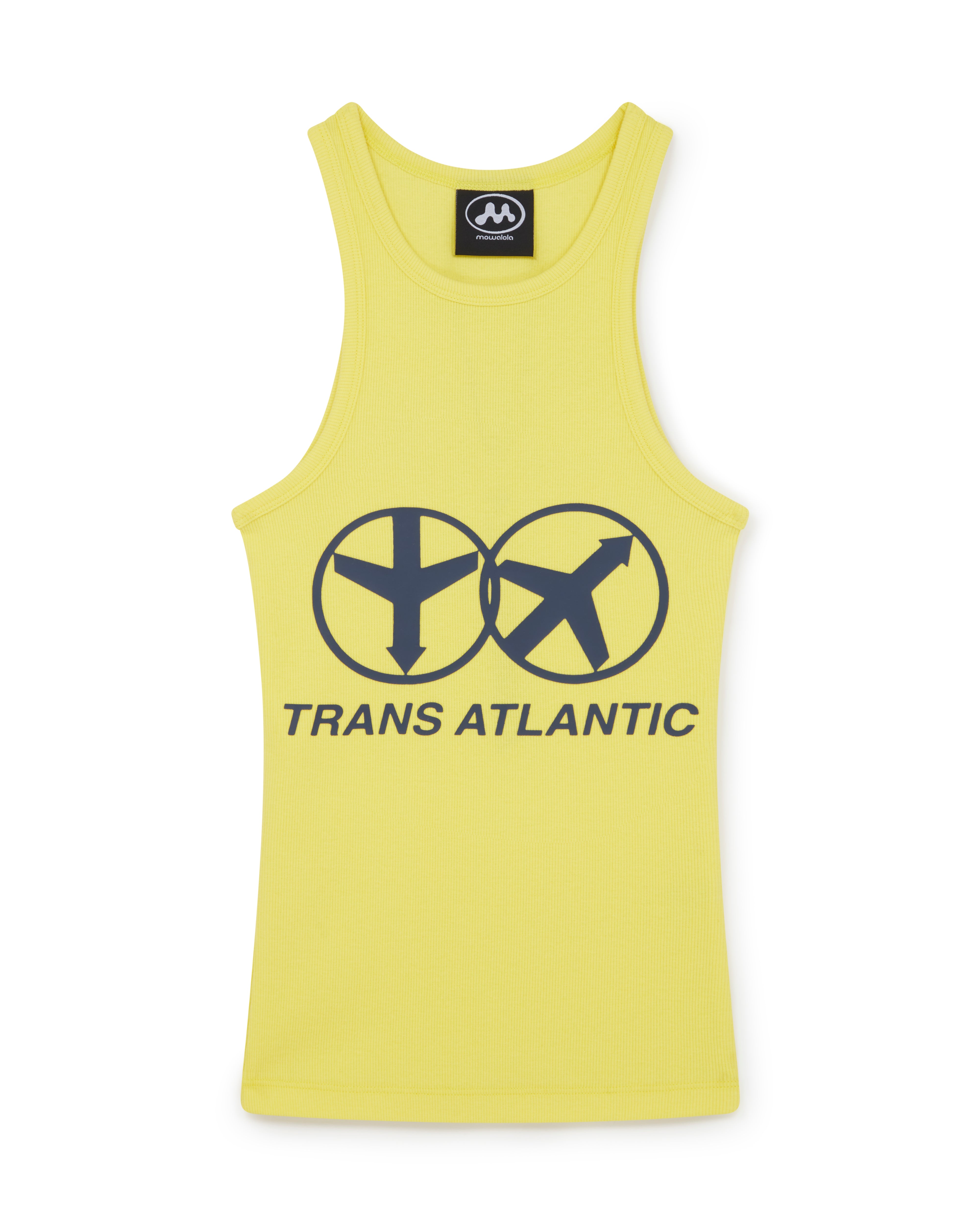 Char transatlantique Image 1