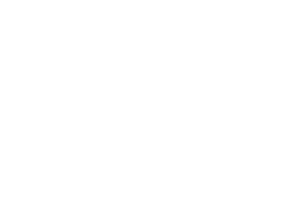 mowalola logo